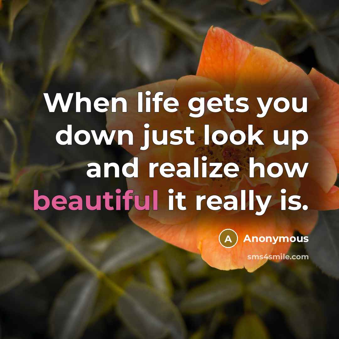 “When life gets you down just look up and realize how beautiful it really is.” quote by Anonymous