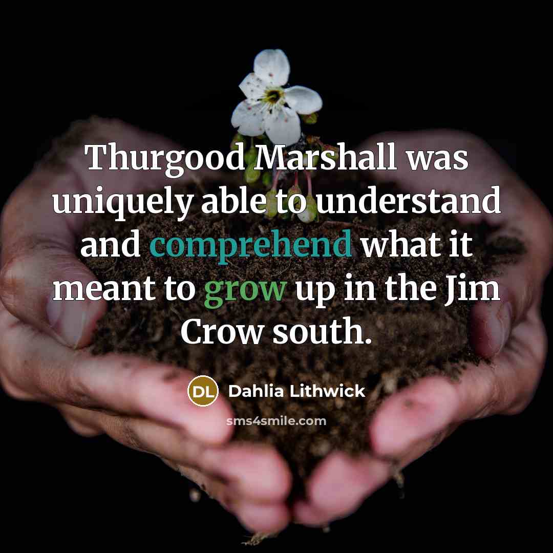 “Thurgood Marshall was uniquely able to understand and comprehend what it meant to grow up in the Jim Crow south.” quote by Dahlia Lithwick