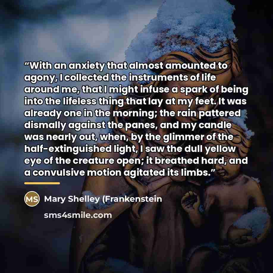 “With an anxiety that almost amounted to agony, I collected the instruments of life around me, that I might infuse a spark of being into the lifeless thing that lay at my feet. It was already one in the morning; the rain pattered dismally against the panes, and my candle was nearly out, when, by…” quote by Anonymous