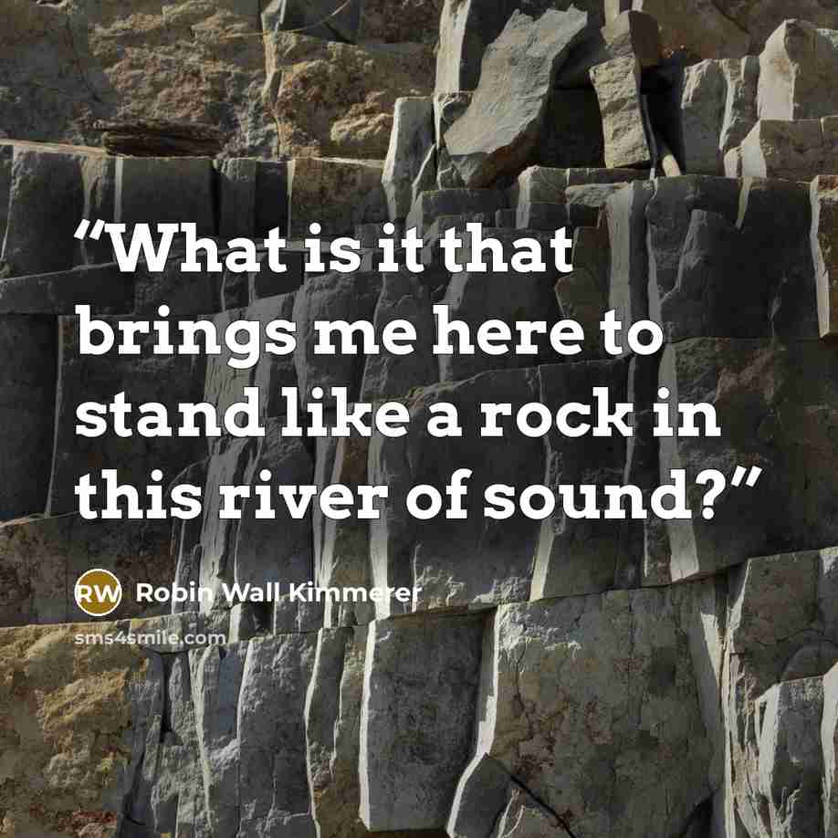 “What is it that brings me here to stand like a rock in this river of sound?” quote by Robin Wall Kimmerer