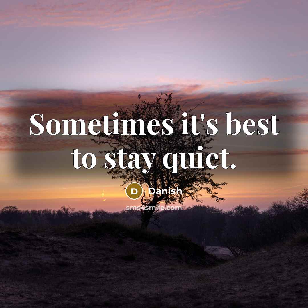 “Sometimes it's best to stay quiet.” quote by Danish