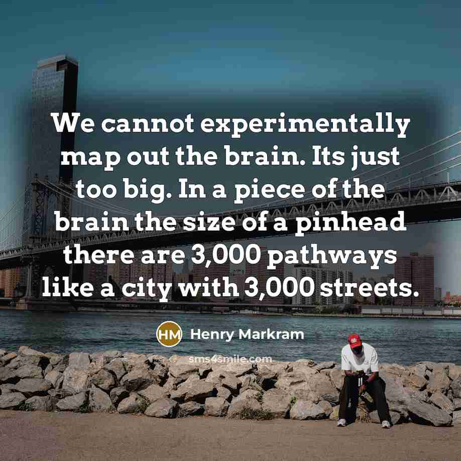 “We cannot experimentally map out the brain. Its just too big. In a piece of the brain the size of a pinhead there are 3,000 pathways like a city with 3,000 streets.” quote by Henry Markram