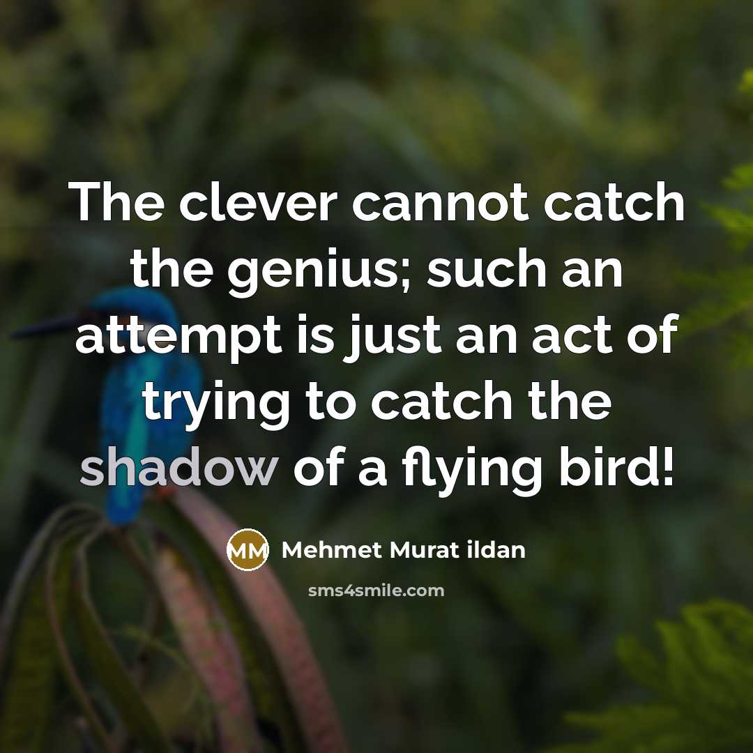 “The clever cannot catch the genius; such an attempt is just an act of trying to catch the shadow of a flying bird!” quote by Mehmet Murat Ildan
