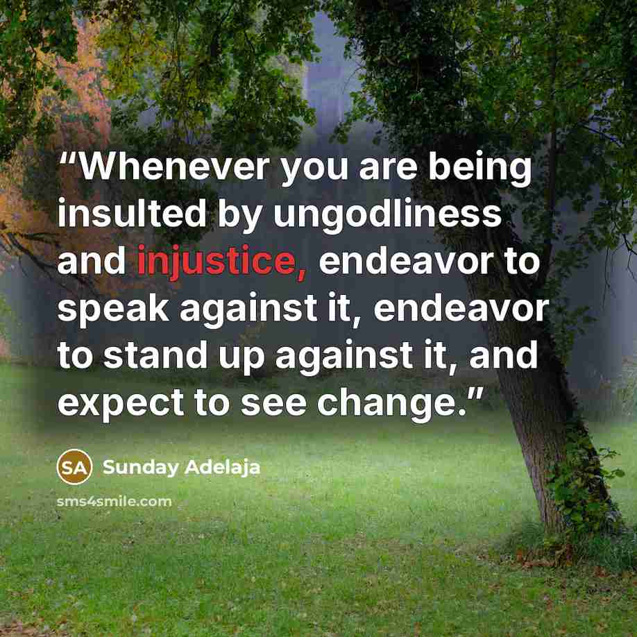 “Whenever you are being insulted by ungodliness and injustice, endeavor to speak against it, endeavor to stand up against it, and expect to see change.” quote by Sunday Adelaja