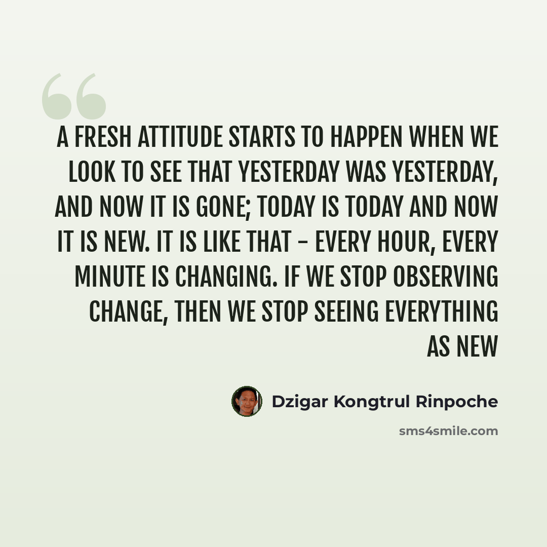 “A fresh attitude starts to happen when we look to see that yesterday was yesterday, and now it is gone; today is today and now it is new. It is like that - every hour, every minute is changing. If we stop observing change, then we stop seeing everything as new” quote by Dzigar Kongtrul Rinpoche
