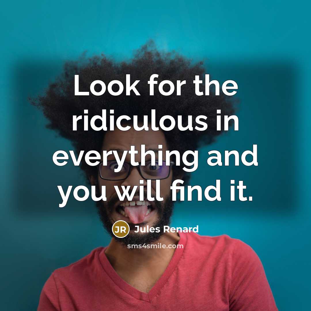 “Look for the ridiculous in everything and you will find it.” quote by Jules Renard