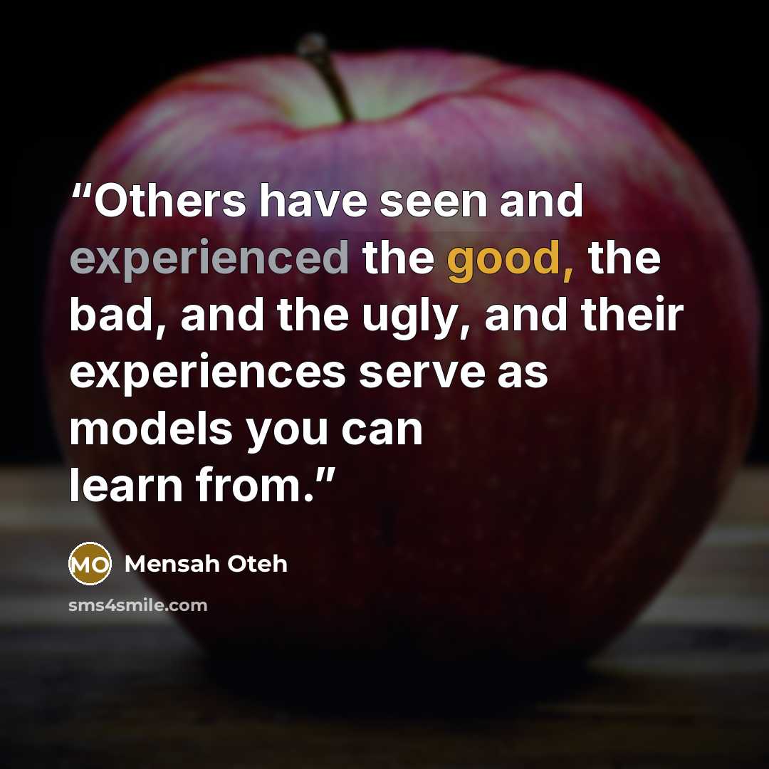 “Others have seen and experienced the good, the bad, and the ugly, and their experiences serve as models you can learn from.” quote by Mensah Oteh