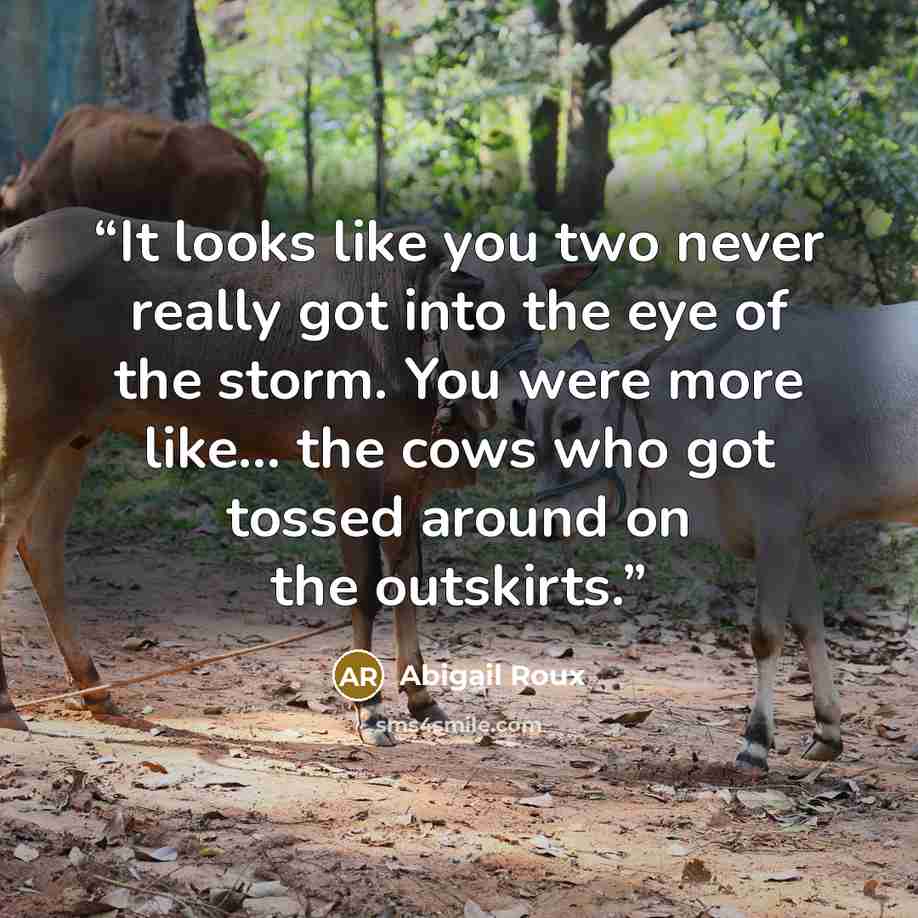 “It looks like you two never really got into the eye of the storm. You were more like… the cows who got tossed around on the outskirts.” quote by Abigail Roux