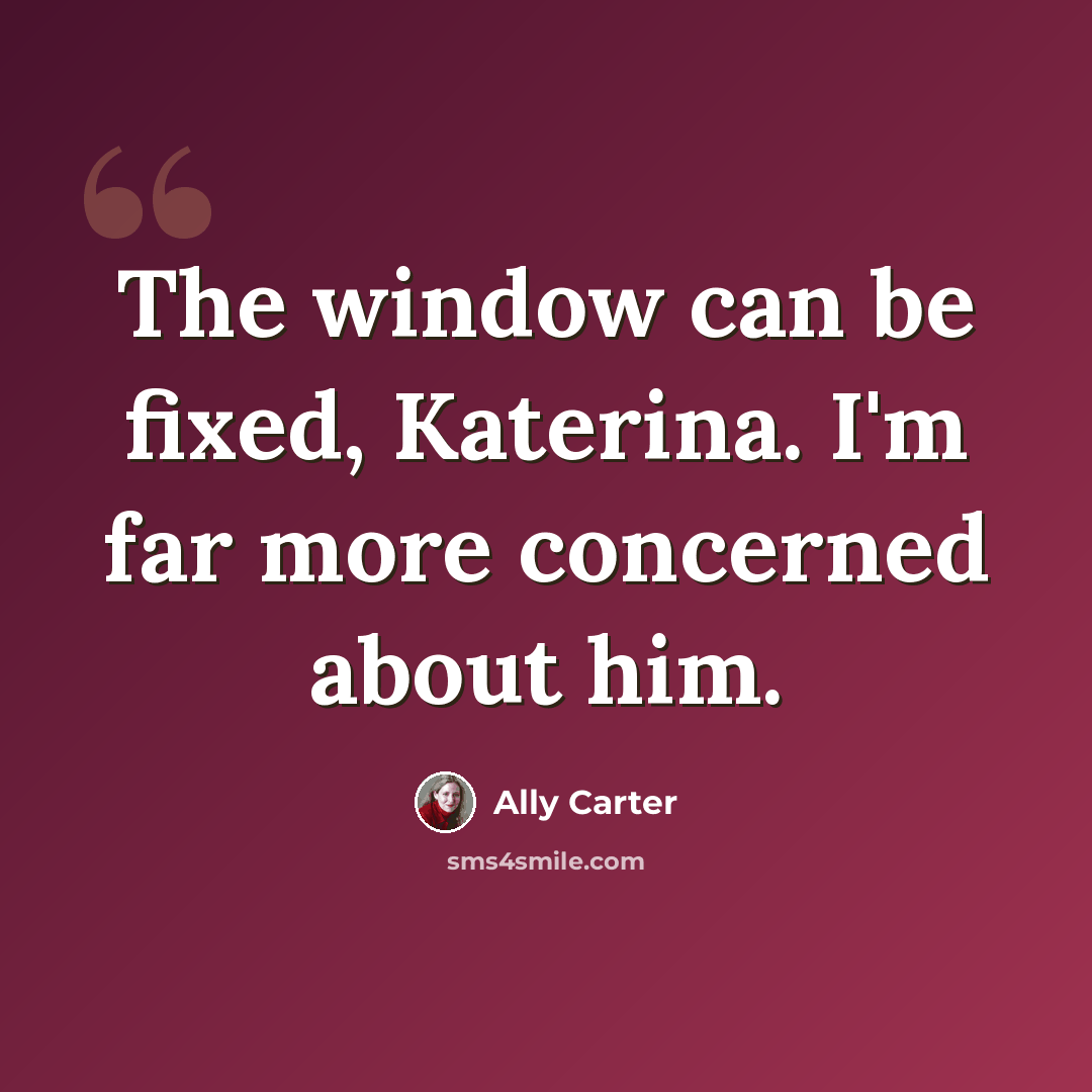 “The window can be fixed, Katerina. I'm far more concerned about him.” quote by Ally Carter