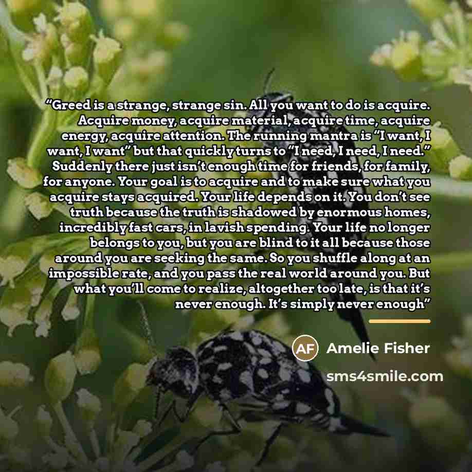 “Greed is a strange, strange sin. All you want to do is acquire. Acquire money, acquire material, acquire time, acquire energy, acquire attention. The running mantra is “I want, I want, I want” but that quickly turns to “I need, I need, I need.” Suddenly there just isn’t enough time for friends…” quote by Amelie Fisher