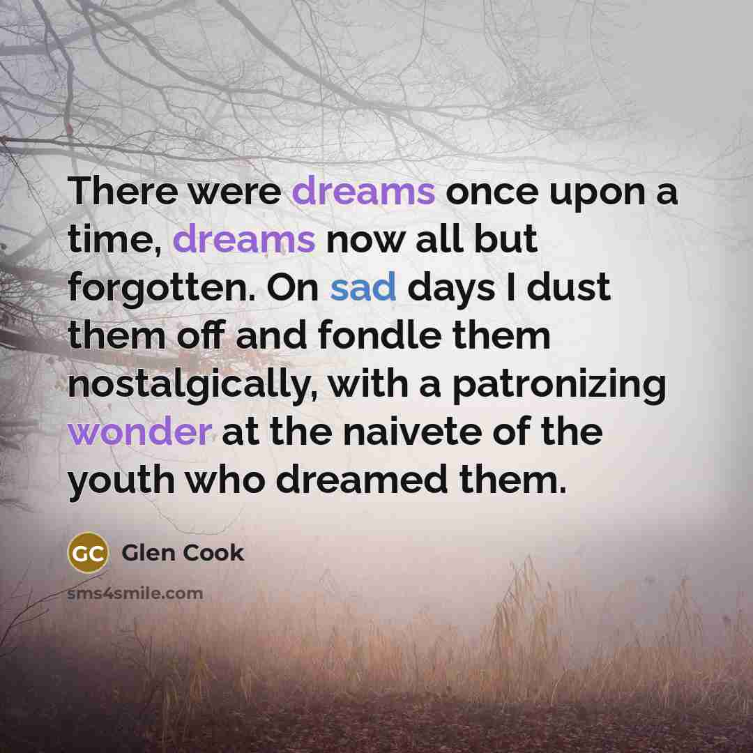 “There were dreams once upon a time, dreams now all but forgotten. On sad days I dust them off and fondle them nostalgically, with a patronizing wonder at the naivete of the youth who dreamed them.” quote by Glen Cook
