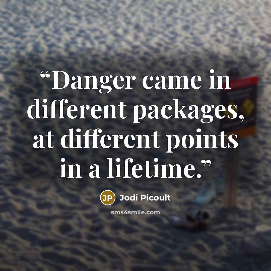 “Danger came in different packages, at different points in a lifetime.” quote by Jodi Picoult