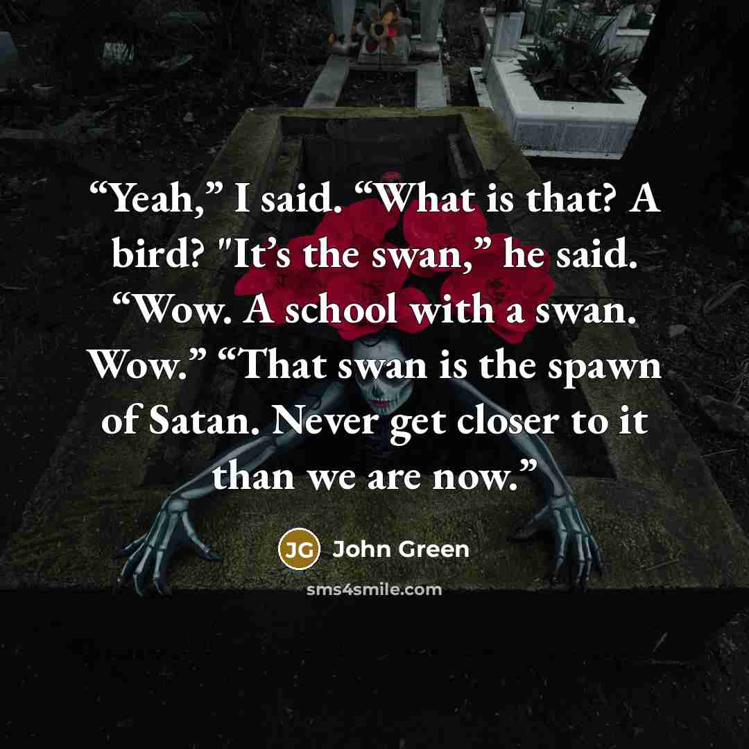 “Yeah,” I said. “What is that? A bird? "It’s the swan,” he said. “Wow. A school with a swan. Wow.” “That swan is the spawn of Satan. Never get closer to it than we are now.” quote by John Green