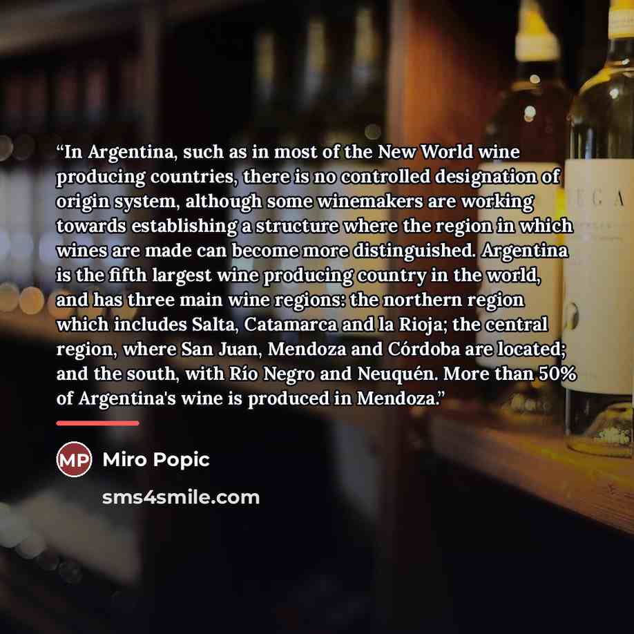 “In Argentina, such as in most of the New World wine producing countries, there is no controlled designation of origin system, although some winemakers are working towards establishing a structure where the region in which wines are made can become more distinguished. Argentina is the fifth largest…” quote by Miro Popic
