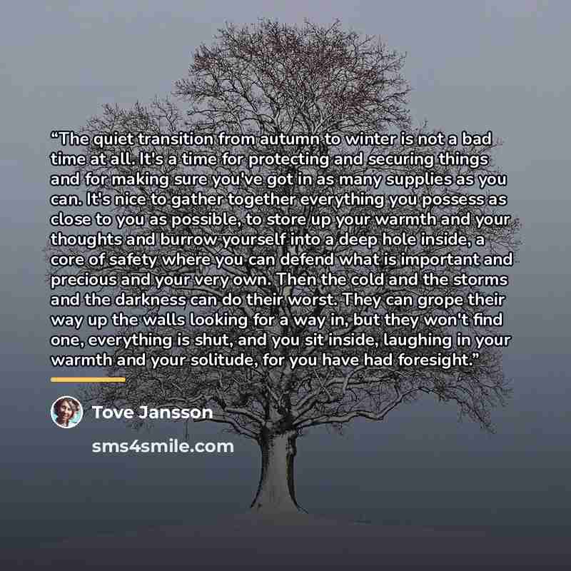 “The quiet transition from autumn to winter is not a bad time at all. It's a time for protecting and securing things and for making sure you've got in as many supplies as you can. It's nice to gather together everything you possess as close to you as possible, to store up your warmth and your…” quote by Tove Jansson