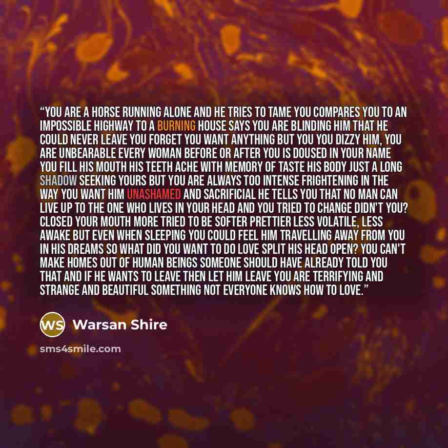 “you are a horse running alone and he tries to tame you compares you to an impossible highway to a burning house says you are blinding him that he could never leave you forget you want anything but you you dizzy him, you are unbearable every woman before or after you is doused in your name you fill…” quote by Warsan Shire
