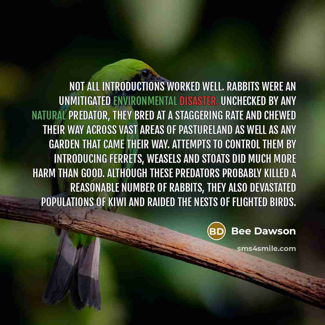 “Not all introductions worked well. Rabbits were an unmitigated environmental disaster. Unchecked by any natural predator, they bred at a staggering rate and chewed their way across vast areas of pastureland as well as any garden that came their way. Attempts to control them by introducing ferrets…” quote by Bee Dawson