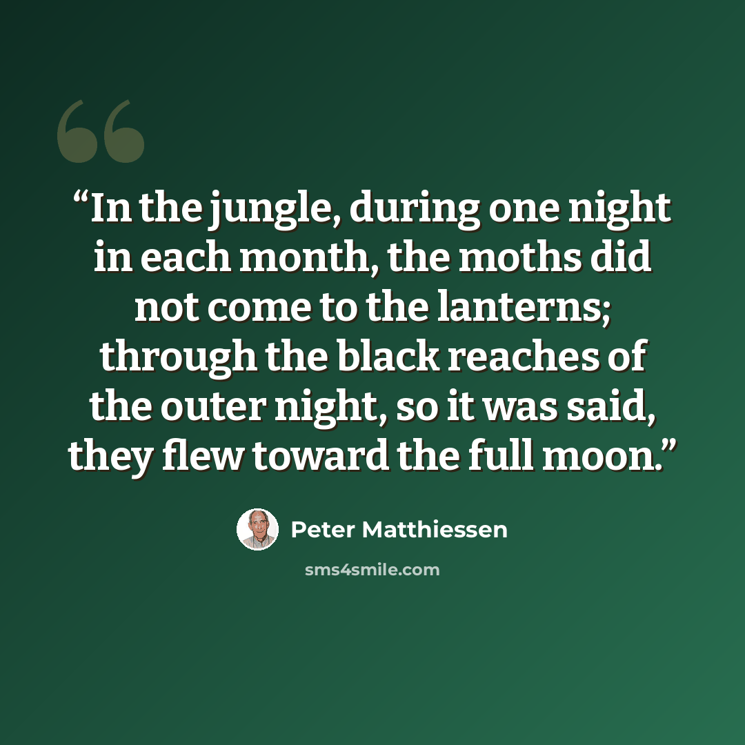 “In the jungle, during one night in each month, the moths did not come to the lanterns; through the black reaches of the outer night, so it was said, they flew toward the full moon.” quote by Peter Matthiessen