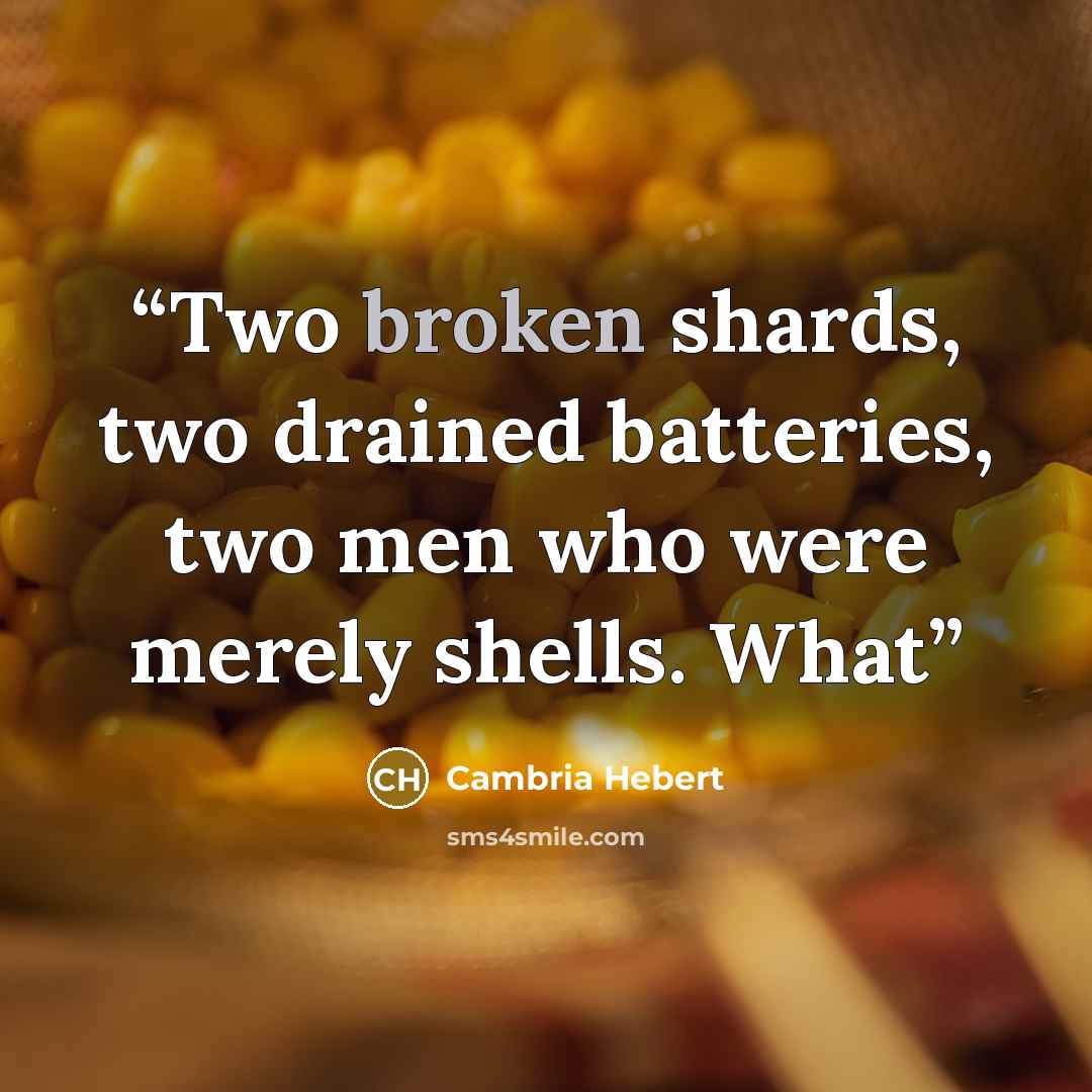 “Two broken shards, two drained batteries, two men who were merely shells. What” quote by Cambria Hebert