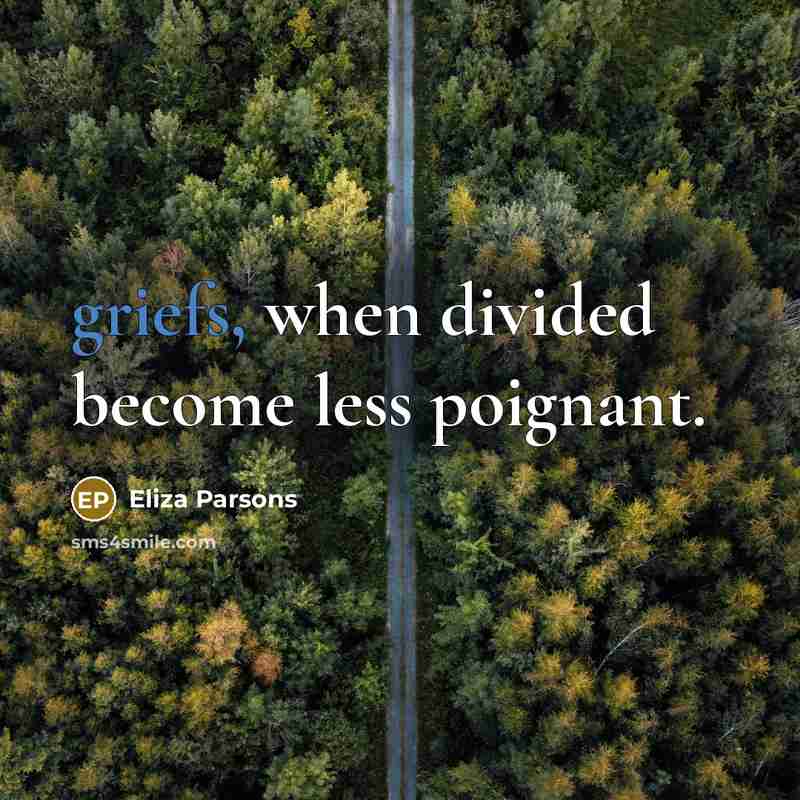“griefs, when divided become less poignant.” quote by Eliza Parsons