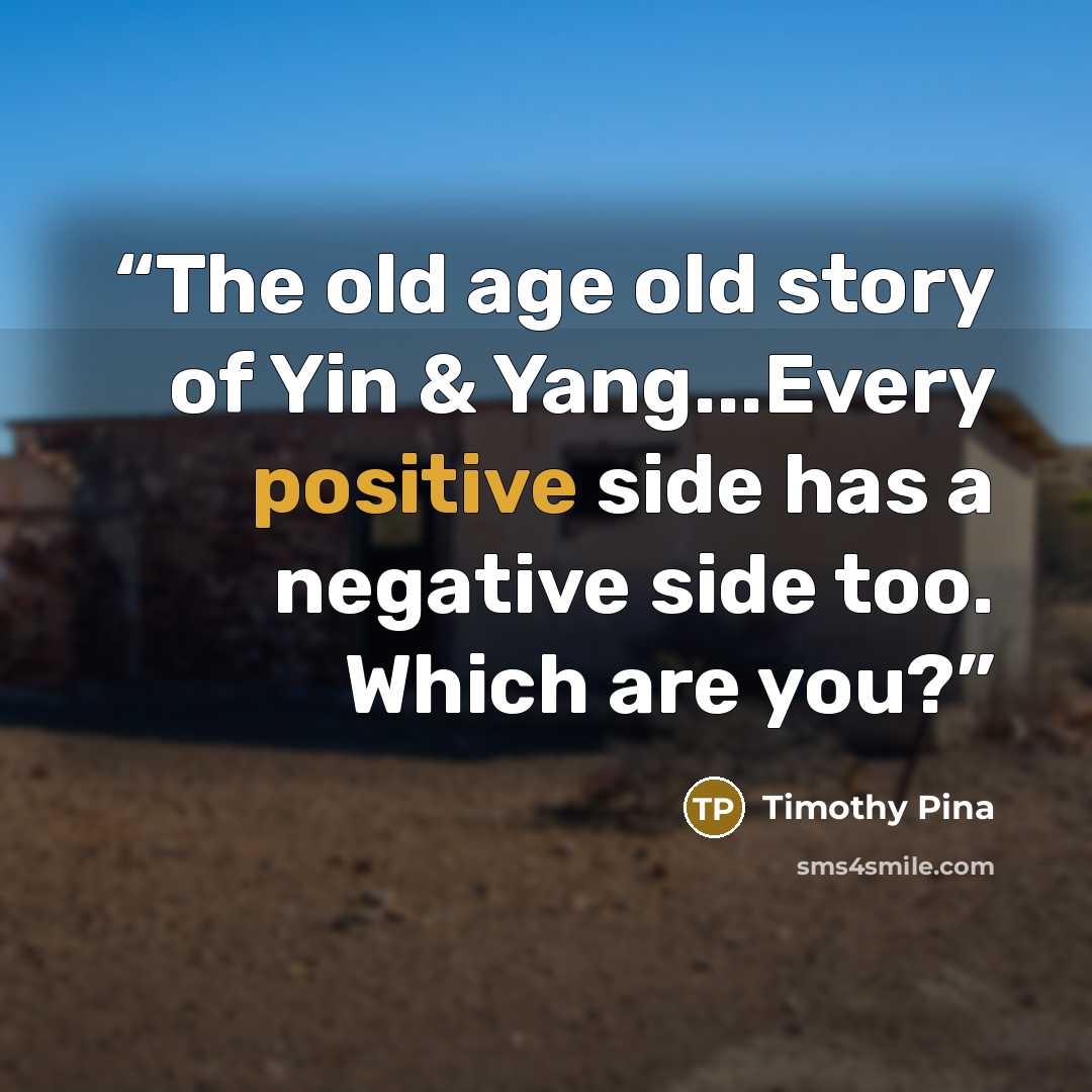 “The old age old story of Yin & Yang...Every positive side has a negative side too. Which are you?” quote by Timothy Pina