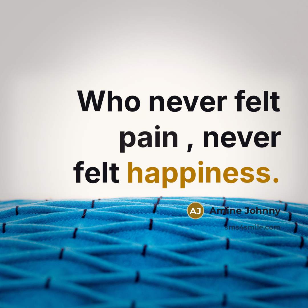 “Who never felt pain , never felt happiness.” quote by Amine Johnny