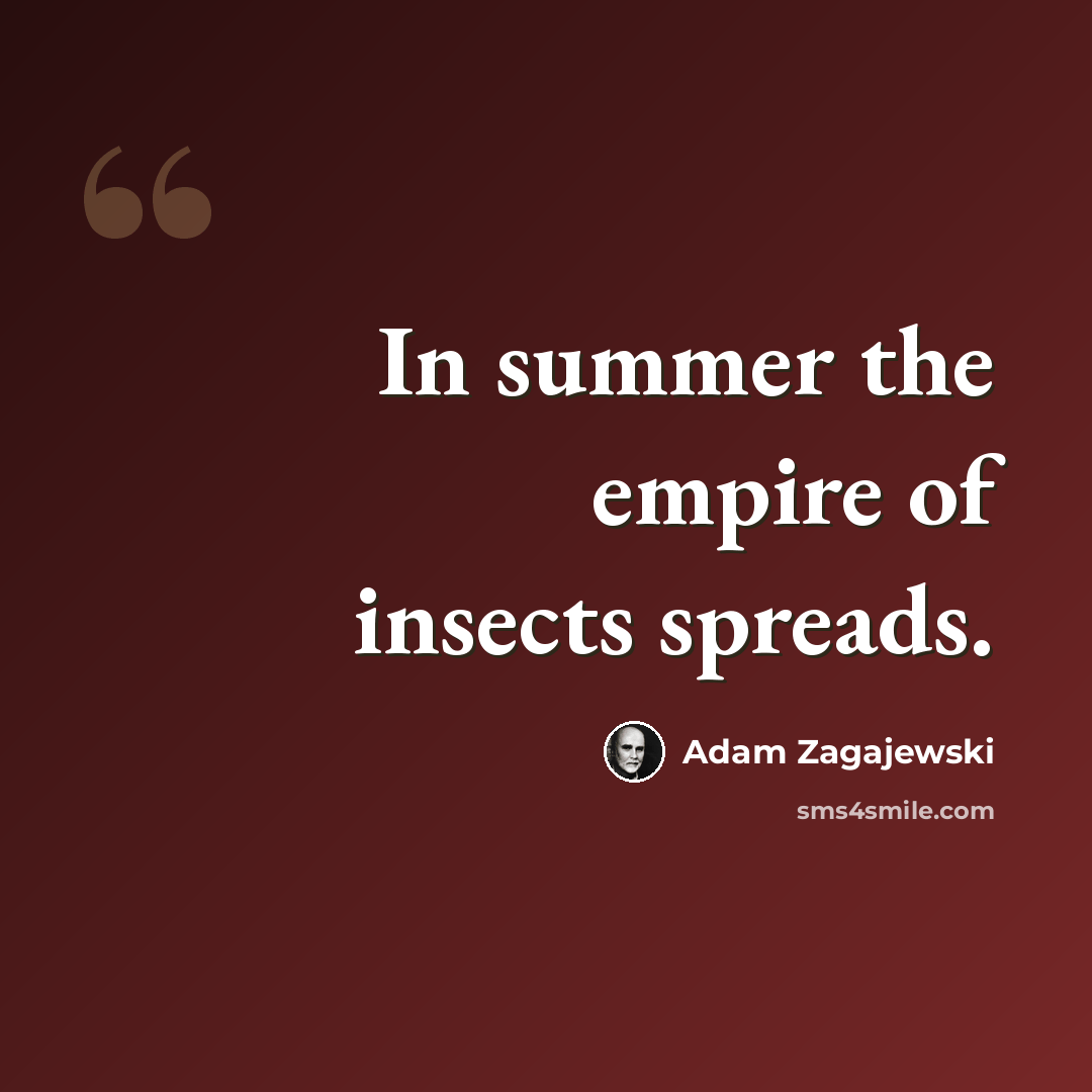 “In summer the empire of insects spreads.” quote by Adam Zagajewski