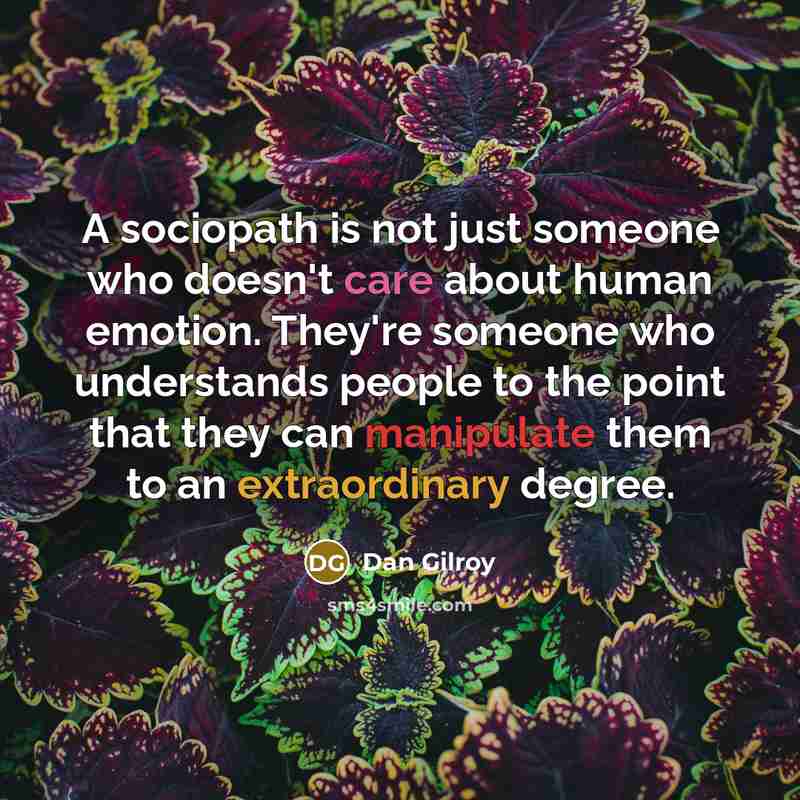 “A sociopath is not just someone who doesn't care about human emotion. They're someone who understands people to the point that they can manipulate them to an extraordinary degree.” quote by Dan Gilroy