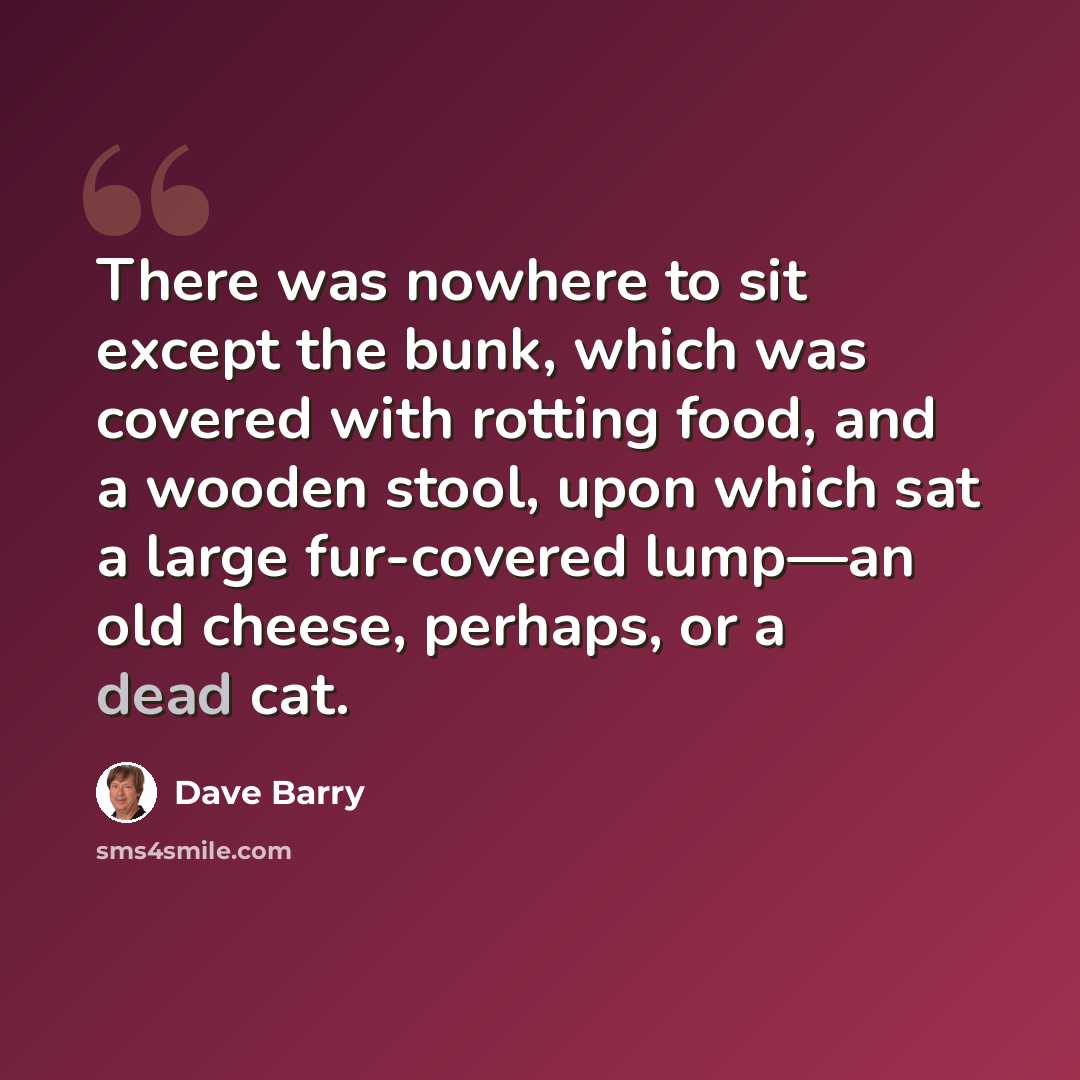 “There was nowhere to sit except the bunk, which was covered with rotting food, and a wooden stool, upon which sat a large fur-covered lump—an old cheese, perhaps, or a dead cat.” quote by Dave Barry