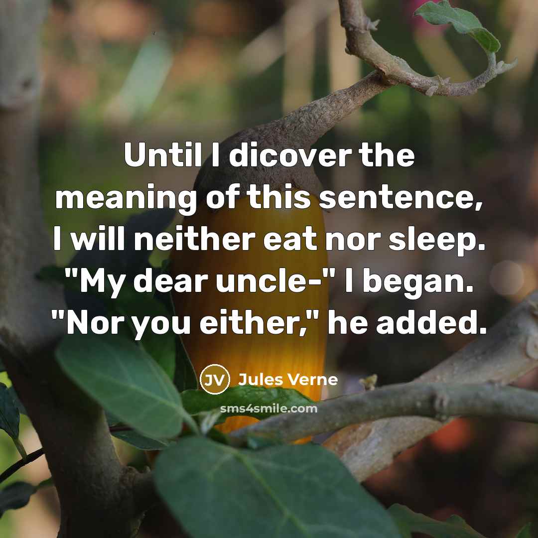 “Until I dicover the meaning of this sentence, I will neither eat nor sleep. "My dear uncle-" I began. "Nor you either," he added.” quote by Jules Verne