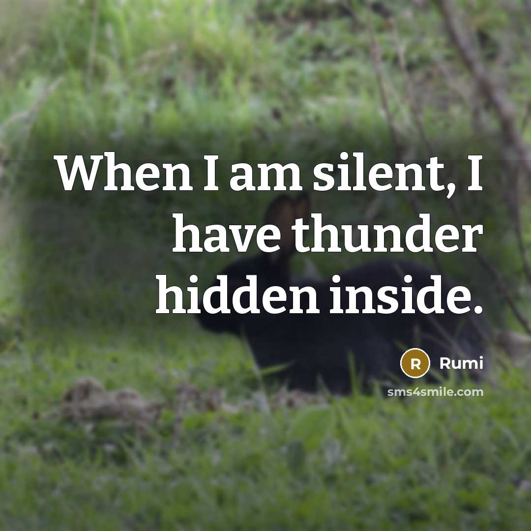 “When I am silent, I have thunder hidden inside.” quote by Rumi