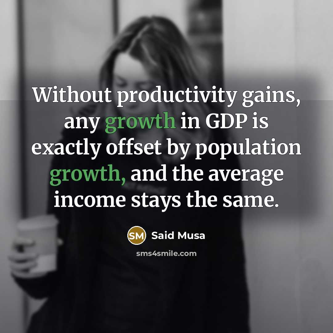 “Without productivity gains, any growth in GDP is exactly offset by population growth, and the average income stays the same.” quote by Said Musa