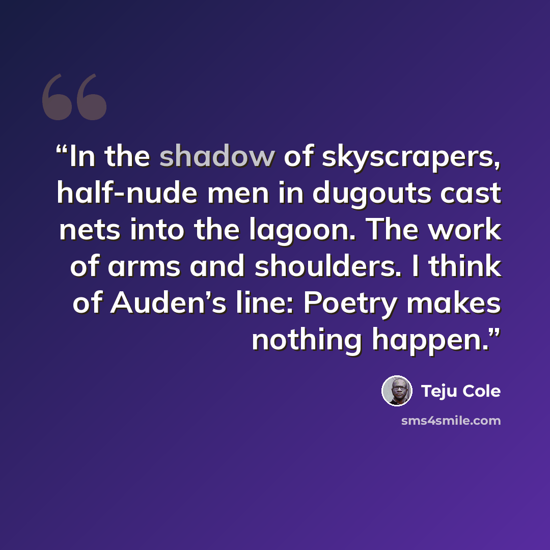 “In the shadow of skyscrapers, half-nude men in dugouts cast nets into the lagoon. The work of arms and shoulders. I think of Auden’s line: Poetry makes nothing happen.” quote by Teju Cole