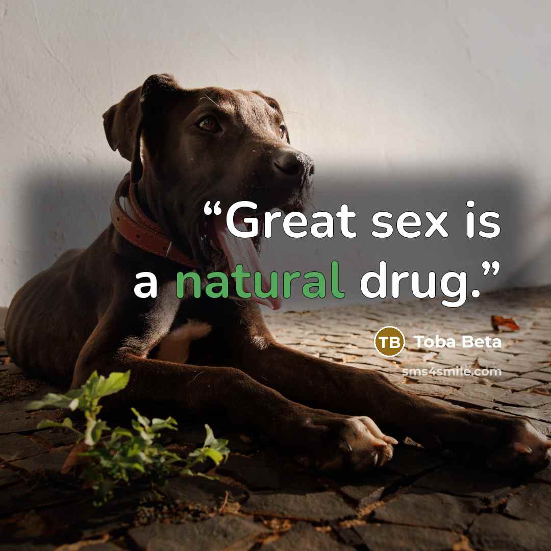 “Great sex is a natural drug.” quote by Toba Beta