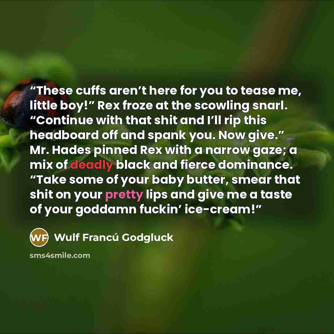 “These cuffs aren’t here for you to tease me, little boy!” Rex froze at the scowling snarl. “Continue with that shit and I’ll rip this headboard off and spank you. Now give.” Mr. Hades pinned Rex with a narrow gaze; a mix of deadly black and fierce dominance. “Take some of your baby butter, smear…” quote by Wulf Francú Godgluck