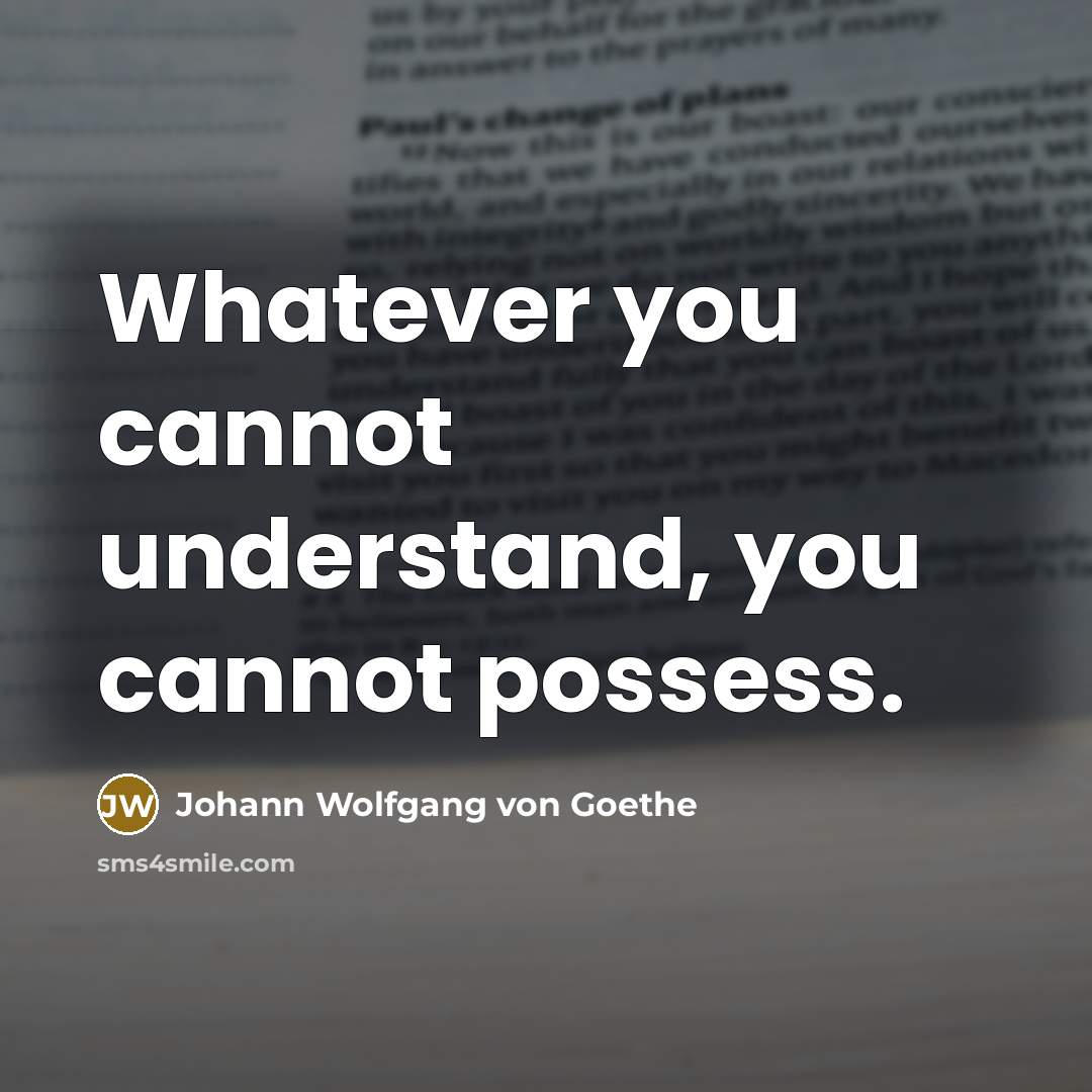 “Whatever you cannot understand, you cannot possess.” quote by Johann Wolfgang von Goethe