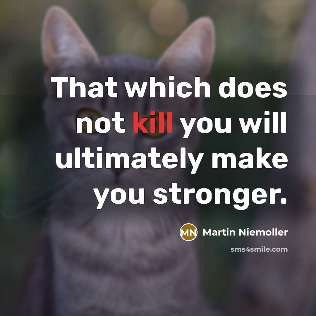 “That which does not kill you will ultimately make you stronger.” quote by Martin Niemoller