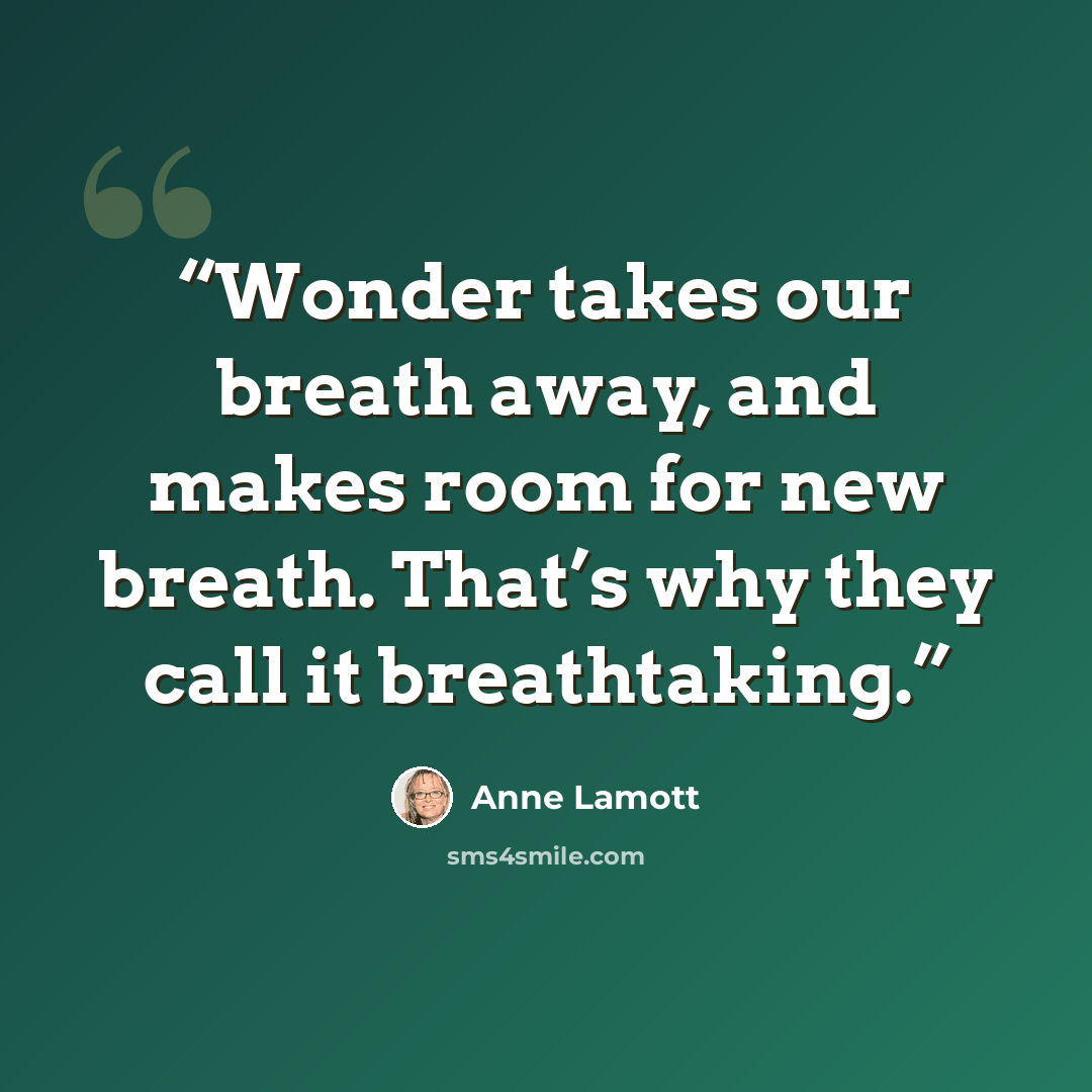 “Wonder takes our breath away, and makes room for new breath. That’s why they call it breathtaking.” quote by Anne Lamott