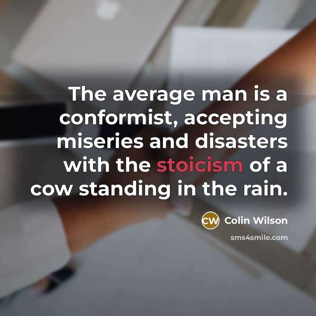 “The average man is a conformist, accepting miseries and disasters with the stoicism of a cow standing in the rain.” quote by Colin Wilson