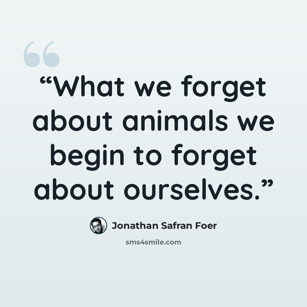 “What we forget about animals we begin to forget about ourselves.” quote by Jonathan Safran Foer