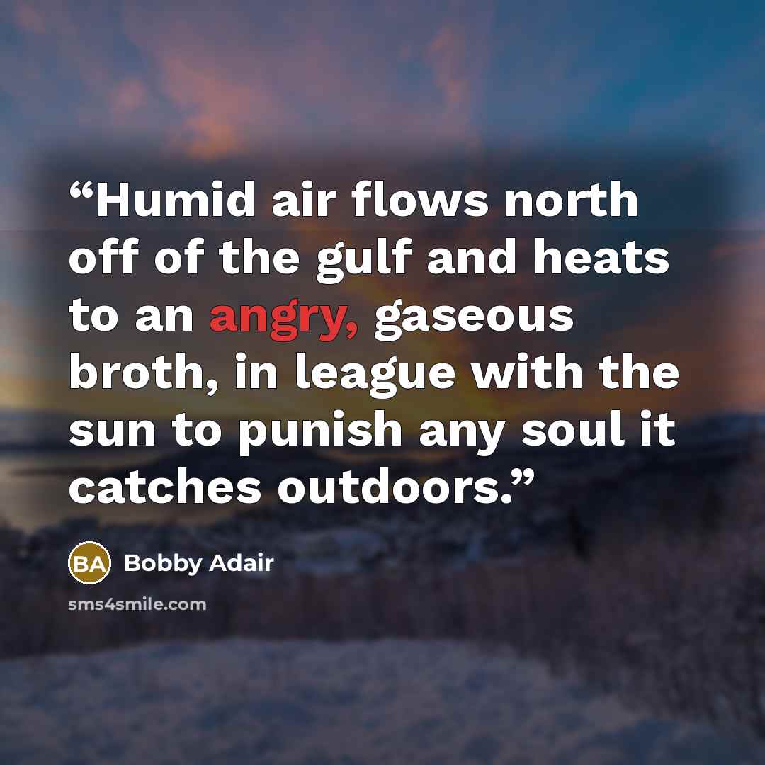 “Humid air flows north off of the gulf and heats to an angry, gaseous broth, in league with the sun to punish any soul it catches outdoors.” quote by Bobby Adair