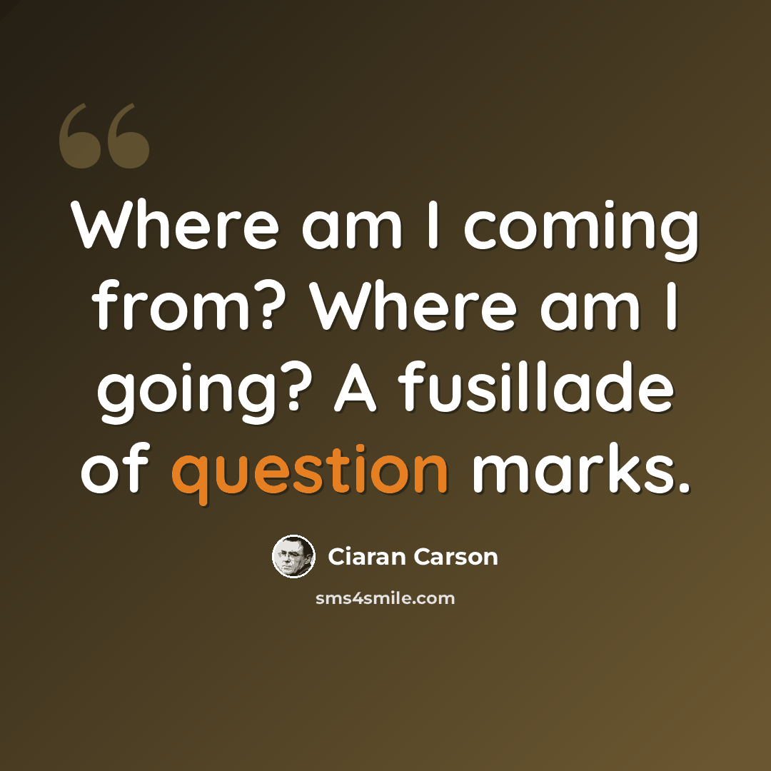 “Where am I coming from? Where am I going? A fusillade of question marks.” quote by Ciaran Carson