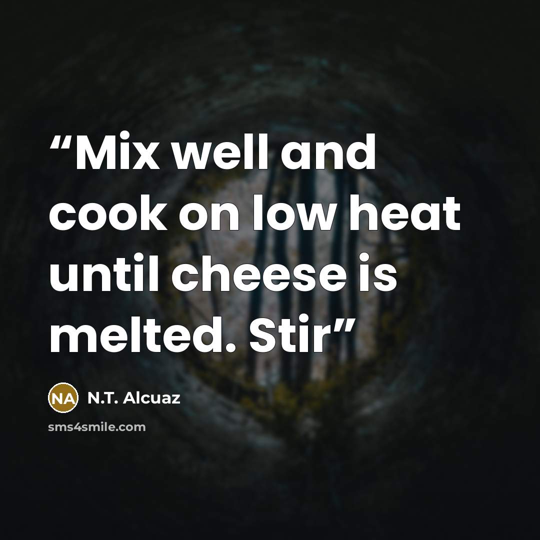 “Mix well and cook on low heat until cheese is melted. Stir” quote by N.T. Alcuaz