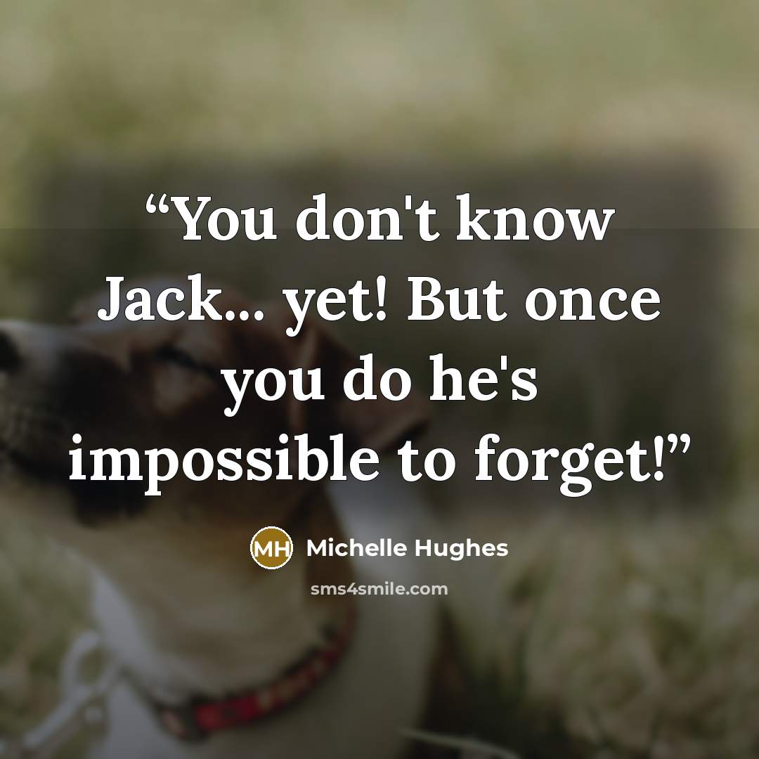 “You don't know Jack... yet! But once you do he's impossible to forget!” quote by Michelle Hughes