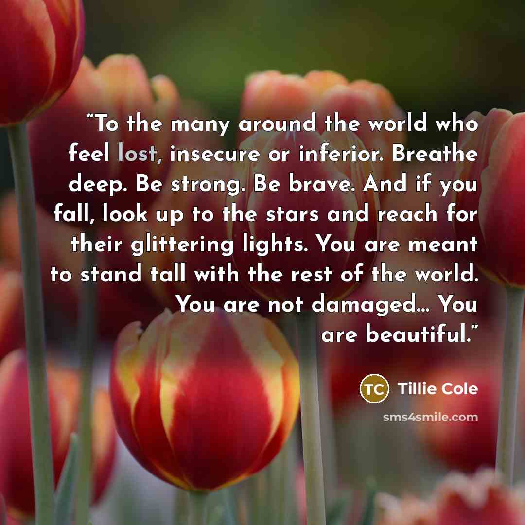 “To the many around the world who feel lost, insecure or inferior. Breathe deep. Be strong. Be brave. And if you fall, look up to the stars and reach for their glittering lights. You are meant to stand tall with the rest of the world. You are not damaged… You are beautiful.” quote by Tillie Cole