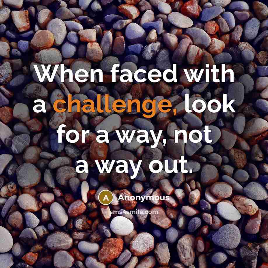 “When faced with a challenge, look for a way, not a way out.” quote by Anonymous