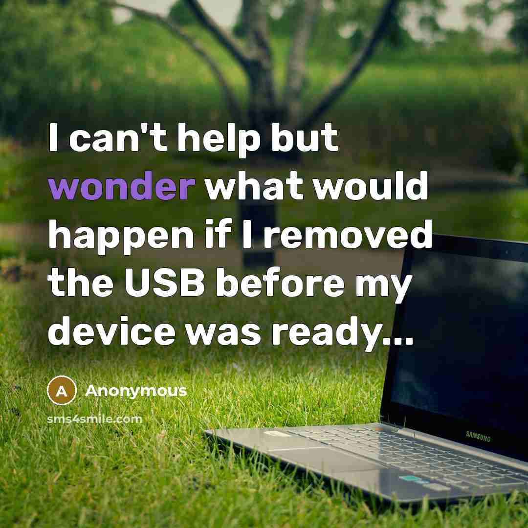 “I can't help but wonder what would happen if I removed the USB before my device was ready...” quote by Anonymous