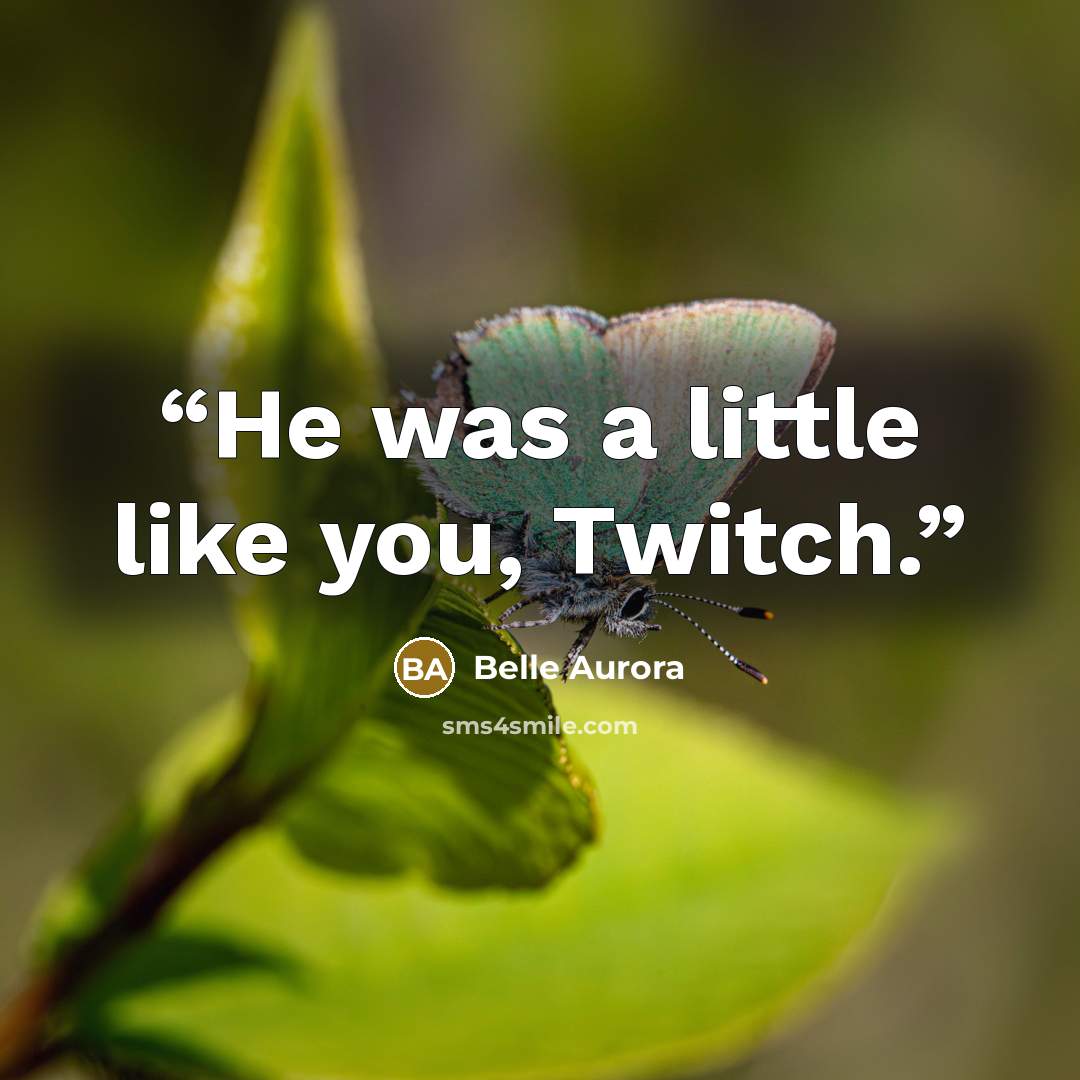 “He was a little like you, Twitch.” quote by Belle Aurora
