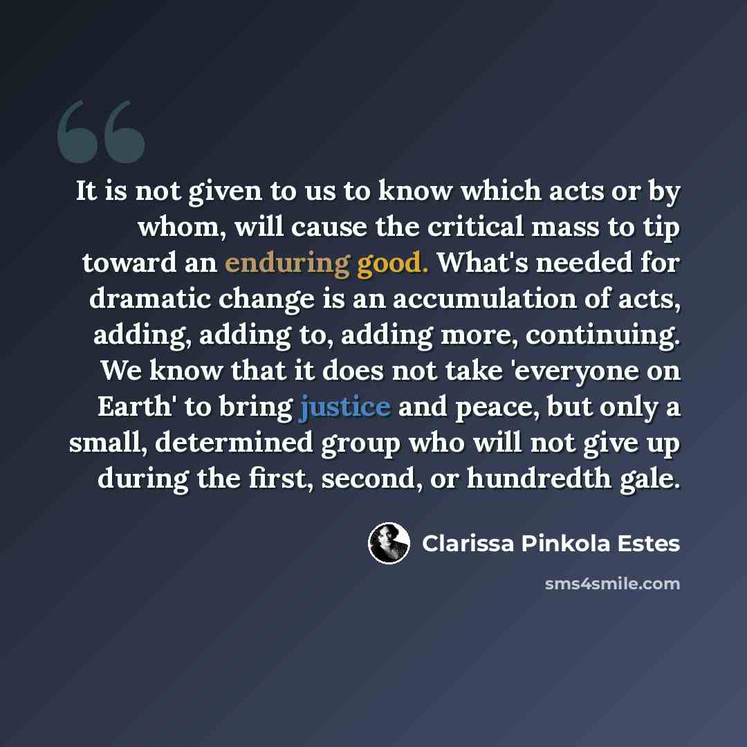 “It is not given to us to know which acts or by whom, will cause the critical mass to tip toward an enduring good. What's needed for dramatic change is an accumulation of acts, adding, adding to, adding more, continuing. We know that it does not take 'everyone on Earth' to bring justice and peace…” quote by Clarissa Pinkola Estes