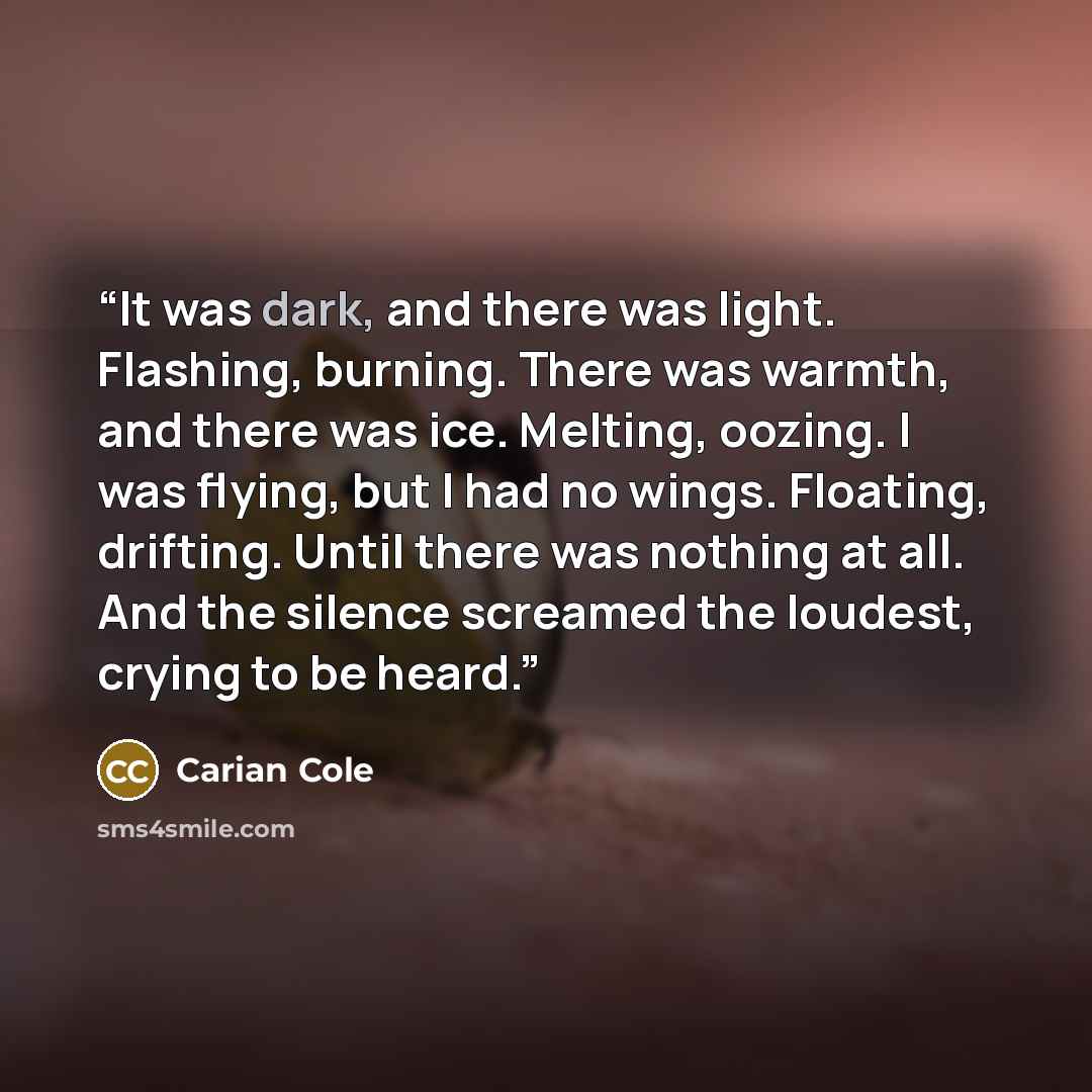 “It was dark, and there was light. Flashing, burning. There was warmth, and there was ice. Melting, oozing. I was flying, but I had no wings. Floating, drifting. Until there was nothing at all. And the silence screamed the loudest, crying to be heard.” quote by Carian Cole